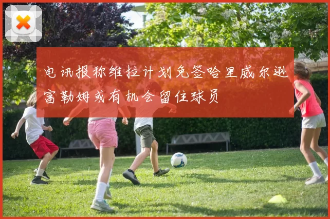 电讯报称维拉计划免签哈里威尔逊富勒姆或有机会留住球员